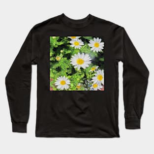 stocksom art prints Daisy 2. Long Sleeve T-Shirt